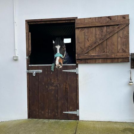 Apartament Toddys Hideaway Cavan Zewnętrze zdjęcie