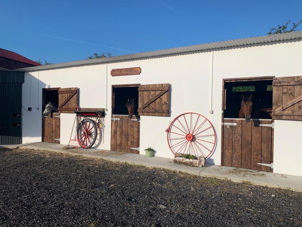 Apartament Toddys Hideaway Cavan Zewnętrze zdjęcie
